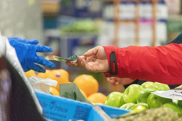 market, sale, money, sold, transaction, food, fruits, fresh, bazaar, sold, sold, sold, transaction, transaction, transaction, transaction, transaction. Choosing marketplace models tools: the four records liquidity actually needs